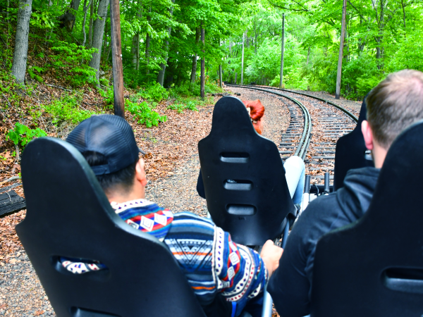 People on pedal cars riding along a forested railway track.